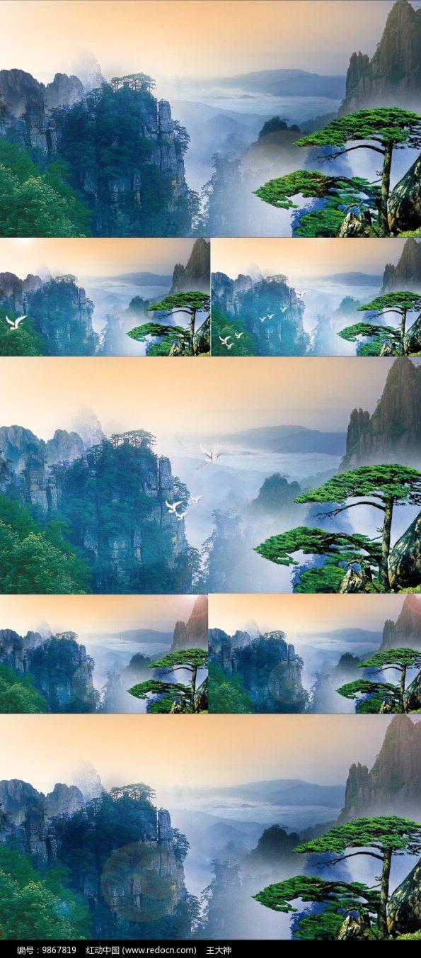哈哈体育